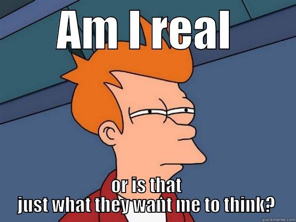 AM I REAL OR IS THAT JUST WHAT THEY WANT ME TO THINK? Futurama Fry