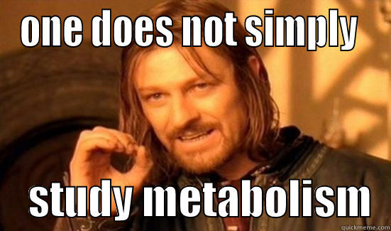 ONE DOES NOT SIMPLY      STUDY METABOLISM  Boromir