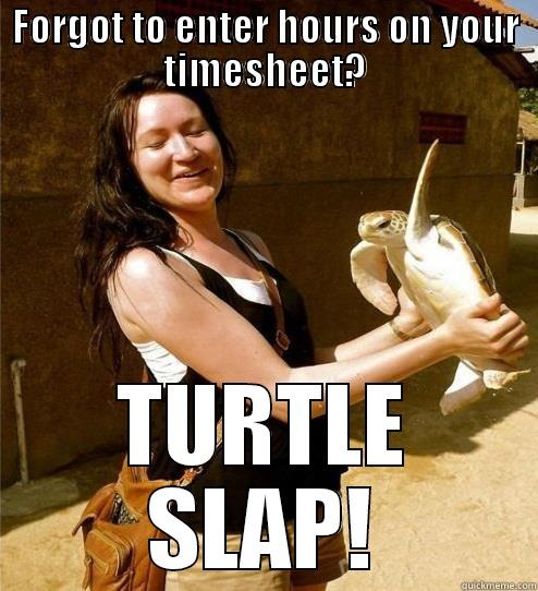 FORGOT TO ENTER HOURS ON YOUR TIMESHEET? TURTLE SLAP! Turtle Slap