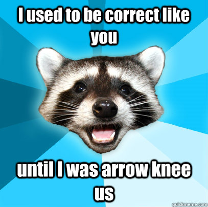 I used to be correct like you until I was arrow knee us  Lame Pun Coon