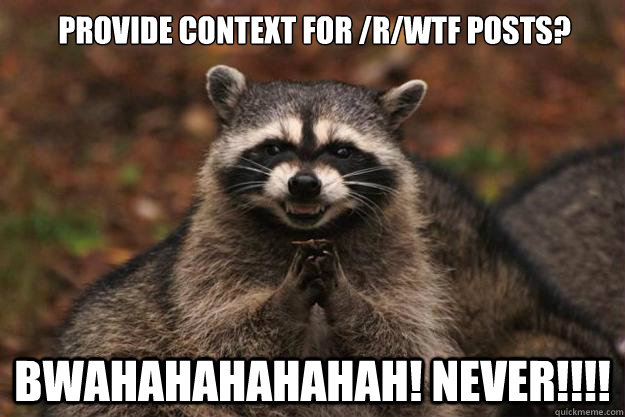 Provide context for /r/WTF POSTS? BWAHAHAHAHAHAH! NEVER!!!!  Evil Plotting Raccoon