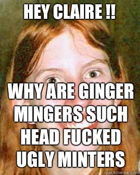 Hey claire !! Why are ginger mingers such  head fucked   ugly minters      