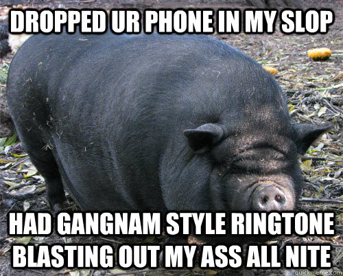 dropped ur phone in my slop had gangNam style ringtone blasting out my ass all nite  