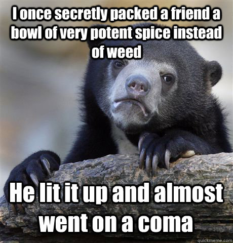 I once secretly packed a friend a bowl of very potent spice instead of weed  He lit it up and almost went on a coma  - I once secretly packed a friend a bowl of very potent spice instead of weed  He lit it up and almost went on a coma   Confession Bear