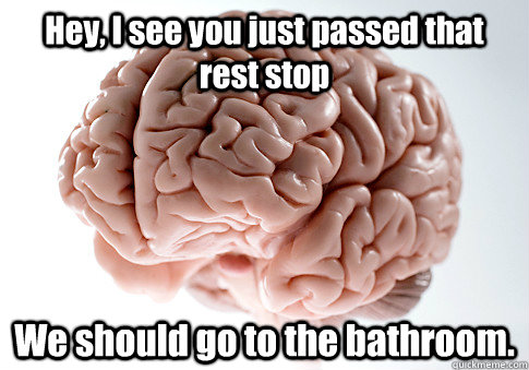 Hey, I see you just passed that rest stop We should go to the bathroom. - Hey, I see you just passed that rest stop We should go to the bathroom.  Scumbag Brain