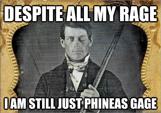 Despite all my rage I am still just phineas gage - Despite all my rage I am still just phineas gage  Misc