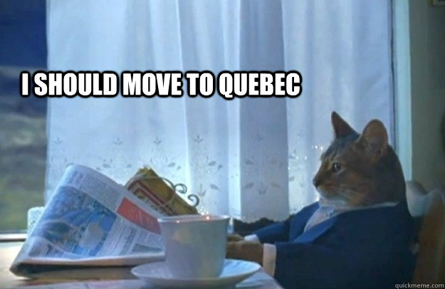 I should move to Quebec  Sophisticated Cat