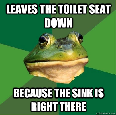 Leaves the Toilet seat down because the sink is right there  Foul Bachelor Frog