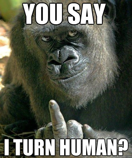 you say I turn human? - you say I turn human?  Flipping Gorilla