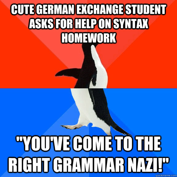 Cute German exchange student asks for help on syntax homework 