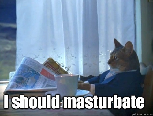  I should masturbate  Rich cat is rich