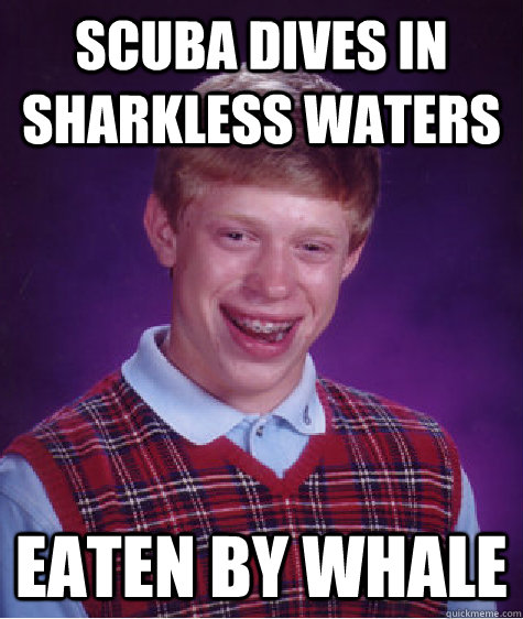 Scuba dives in sharkless waters Eaten by whale  Bad Luck Brian
