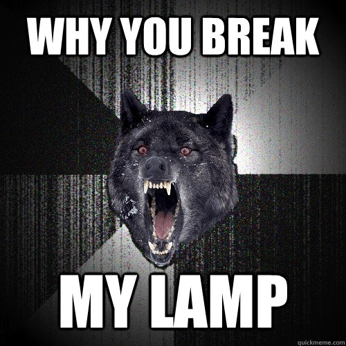 why you break my lamp  Insanity Wolf