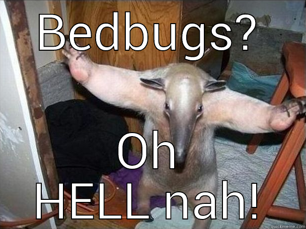 BEDBUGS? OH HELL NAH! I got this