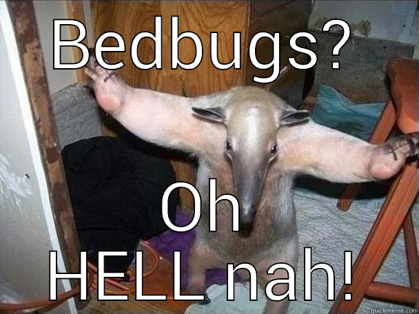 pine village apts - BEDBUGS? OH HELL NAH! I got this