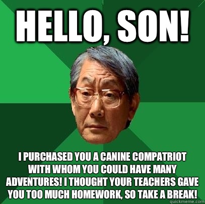 Hello, son! I purchased you a canine compatriot with whom you could have many adventures! I thought your teachers gave you too much homework, so take a break!  High Expectations Asian Father