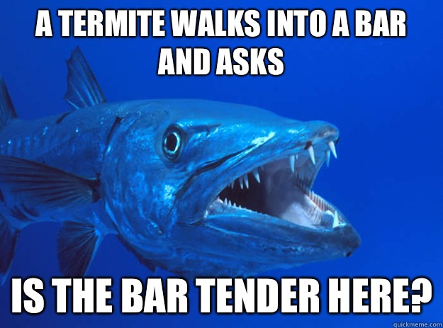 A termite walks into a bar and asks Is the bar tender here?  