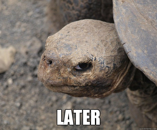  LATER -  LATER  Insanity Tortoise