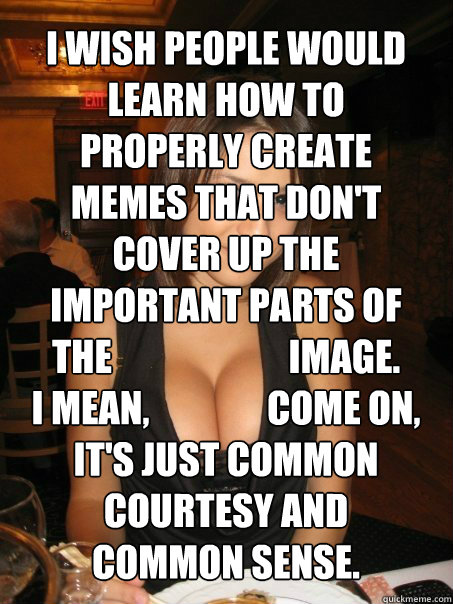 I wish people would learn how to properly create memes that don't cover up the important parts of the                        image.
I mean,                come on, it's just common courtesy and common sense. - I wish people would learn how to properly create memes that don't cover up the important parts of the                        image.
I mean,                come on, it's just common courtesy and common sense.  cant find boob girls meme