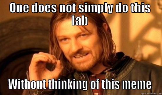 ONE DOES NOT SIMPLY DO THIS LAB WITHOUT THINKING OF THIS MEME Boromir