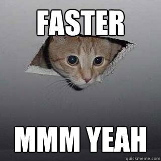 faster mmm yeah  Ceiling Cat