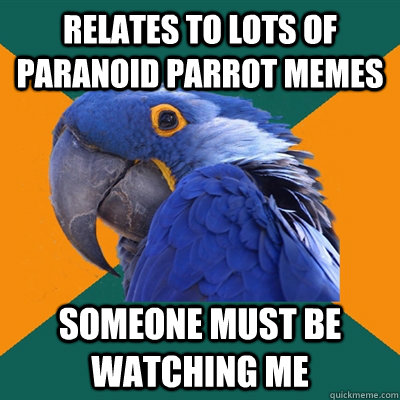 relates to lots of paranoid parrot memes Someone must be watching me  Paranoid Parrot