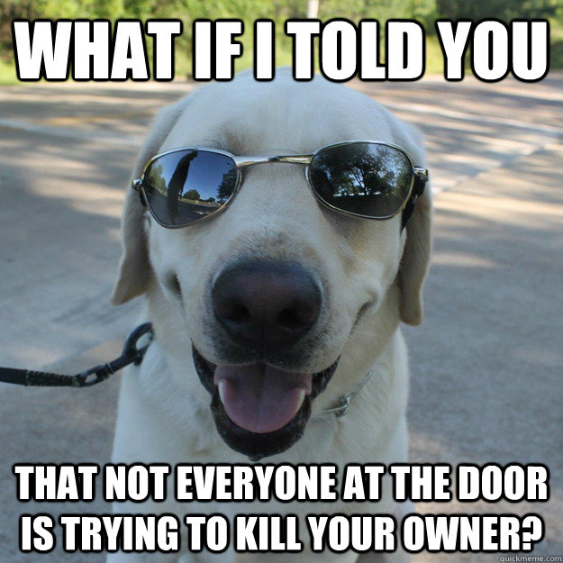 What if i told you that not everyone at the door is trying to kill your owner? - What if i told you that not everyone at the door is trying to kill your owner?  Morpheus Dog