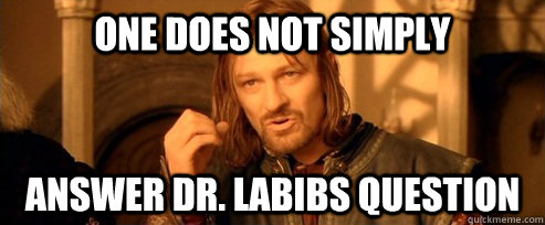 One does not simply Answer dr. labibs question  One Does Not Simply