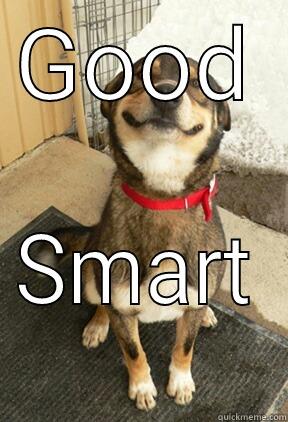 GOOD SMART  Good Dog Greg