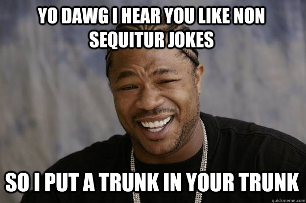 YO DAWG I HEAR YOU LIKE non sequitur jokes so i put a trunk in your trunk  Xzibit meme