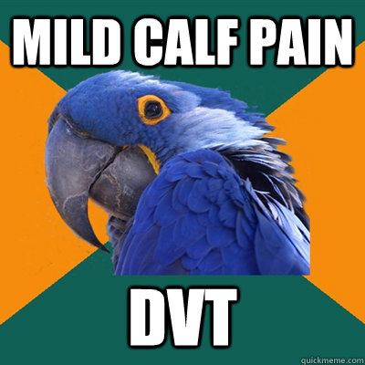 Mild calf pain dvt  Paranoid Parrot