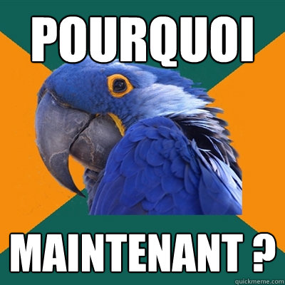 Pourquoi Maintenant ?  Paranoid Parrot