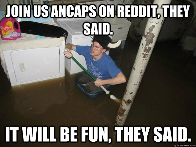 Join us Ancaps on reddit, they said. It will be fun, they said.  Laundry Room Viking