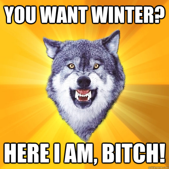 you want winter? here I am, bitch!  Courage Wolf