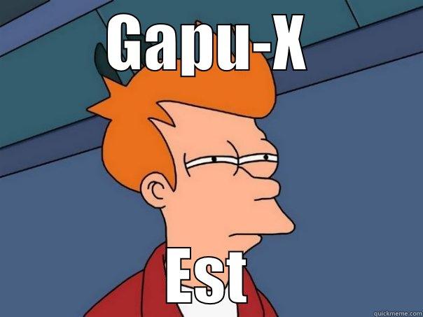 GAPU-X EST Futurama Fry