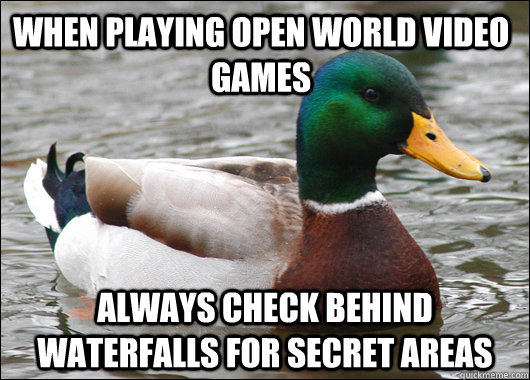 When playing open world video games always check behind waterfalls for secret areas - When playing open world video games always check behind waterfalls for secret areas  Actual Advice Mallard