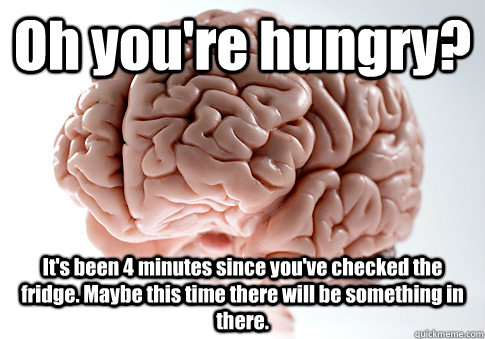 Oh you're hungry? It's been 4 minutes since you've checked the fridge. Maybe this time there will be something in there.   Scumbag Brain