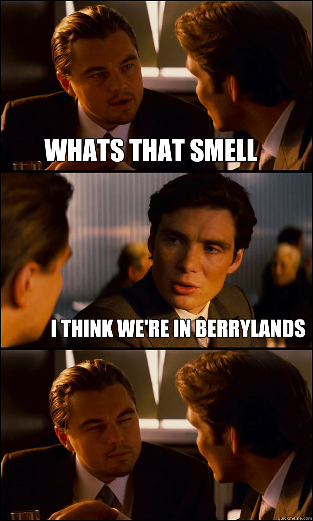 wHATS THAT SMELL i think we're in berrylands  Inception