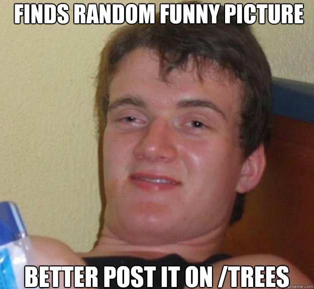Finds Random Funny Picture Better post it on /Trees Caption 3 goes here  ten guy