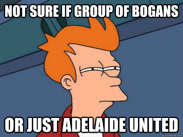 Not sure if group of bogans Or just adelaide united  Futurama Fry