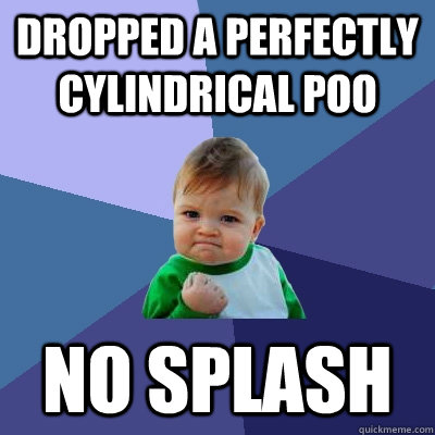 Dropped a perfectly cylindrical poo No splash  Success Kid