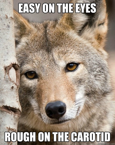 Easy on the eyes Rough on the carotid - Easy on the eyes Rough on the carotid  Ridiculously Photogenic Wolf