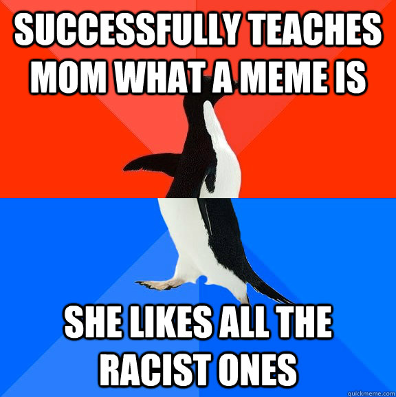 Successfully teaches mom what a meme is she likes all the racist ones  - Successfully teaches mom what a meme is she likes all the racist ones   Socially Awesome Awkward Penguin