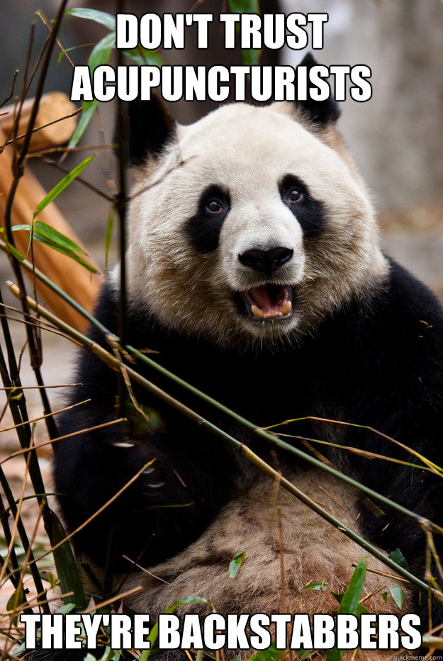 DON'T TRUST ACUPUNCTURISTS THEY'RE BACKSTABBERS Punny Panda quickmeme