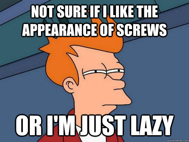 Not sure if I like the appearance of screws Or I'm just lazy  Futurama Fry