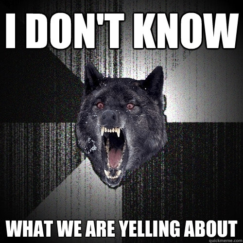 I DON'T KNOW WHAT WE ARE YELLING ABOUT  Insanity Wolf