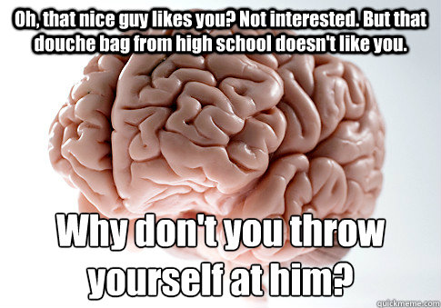 Oh, that nice guy likes you? Not interested. But that douche bag from high school doesn't like you.  Why don't you throw yourself at him?   Scumbag Brain