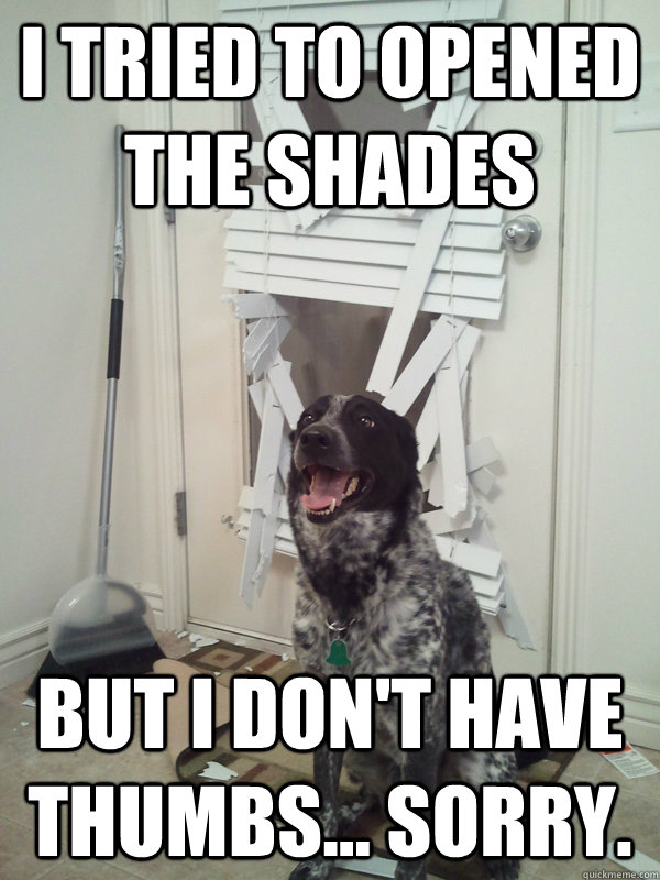 I tried to opened the shades but I don't have thumbs... Sorry.  