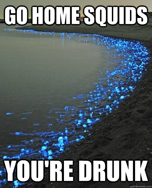 Go home Squids You're Drunk - Go home Squids You're Drunk  gohomesquidsss