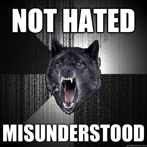 NOT HATED MISUNDERSTOOD  Insanity Wolf